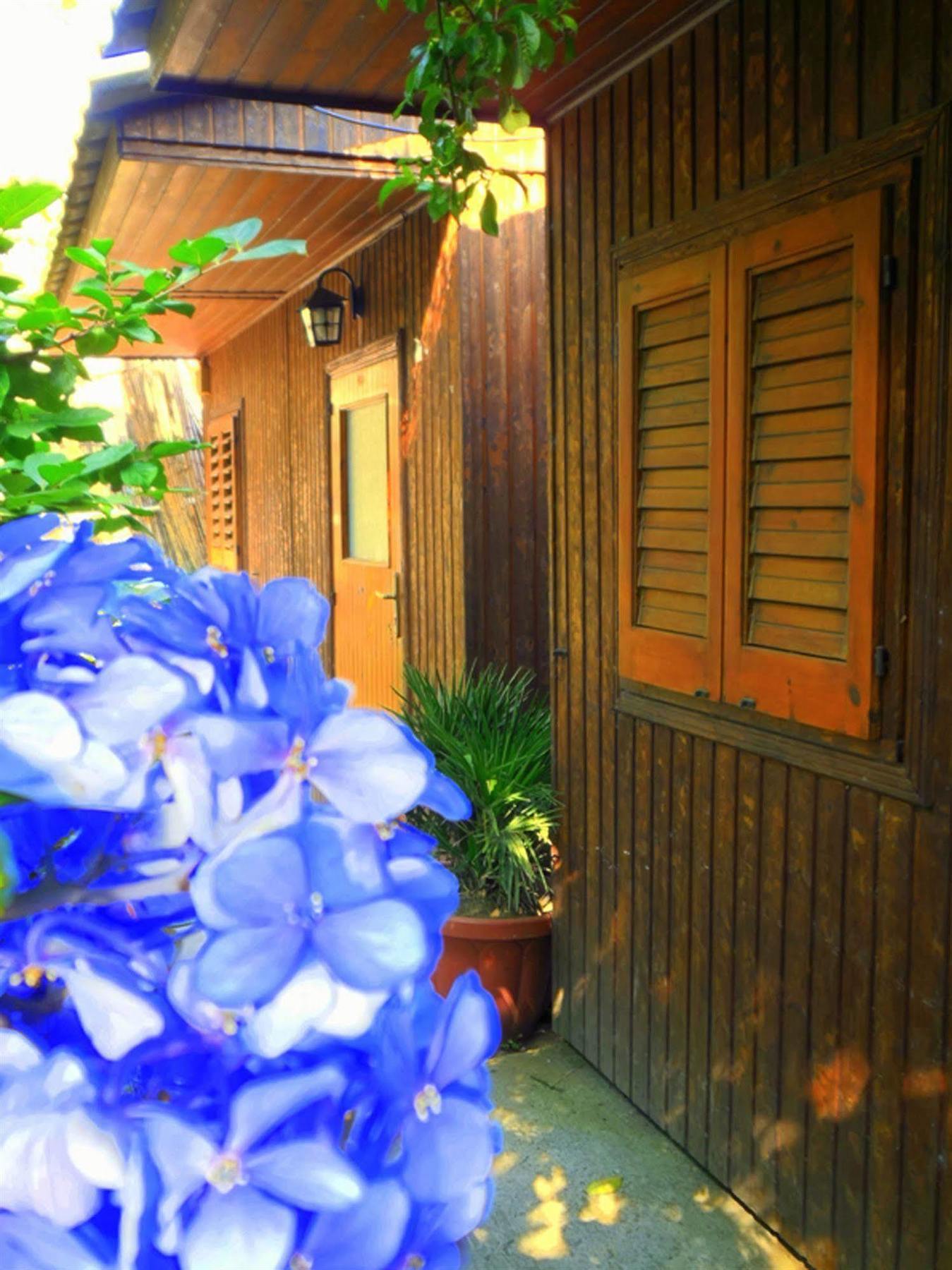 Отель Fiori D'Arancio Пьяно-ди-Сорренто Экстерьер фото